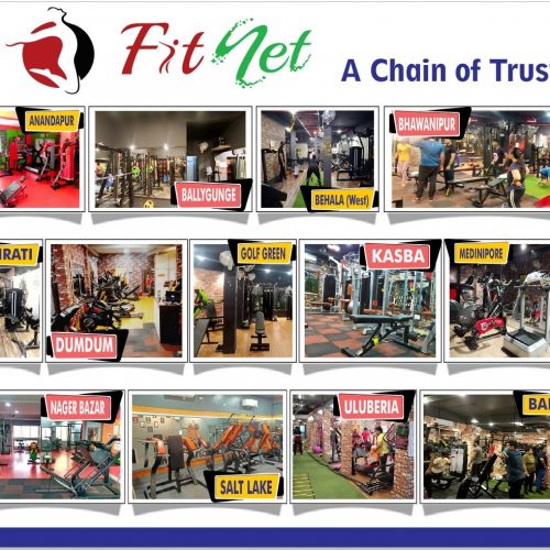 13 branches of FitNet